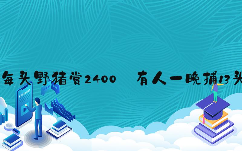 每头野猪赏2400 有人一晚捕13头